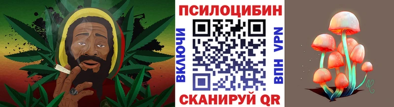 дарк нет состав  Талдом  Псилоцибиновые грибы Psilocybine cubensis  купить наркотики цена 